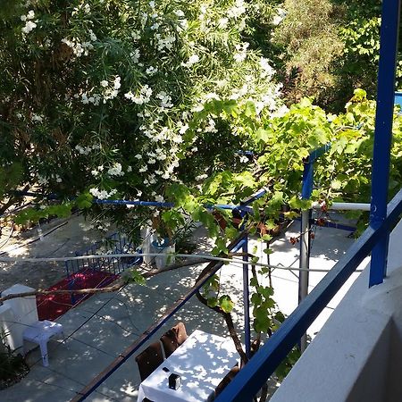 Deniz Yildizi Bed & Breakfast Fethiye Exterior photo